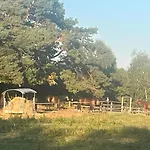 Apartamento Village, App 15 - Urlaubsidyll Benz (Usedom)